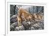 Cat Family-Jeff Tift-Framed Premium Giclee Print