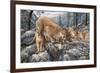 Cat Family-Jeff Tift-Framed Premium Giclee Print