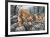 Cat Family-Jeff Tift-Framed Premium Giclee Print