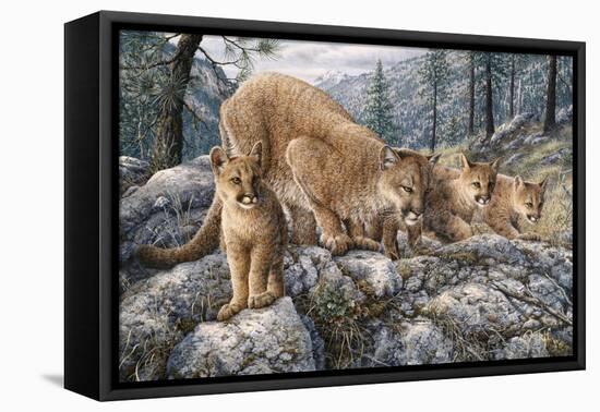 Cat Family-Jeff Tift-Framed Stretched Canvas