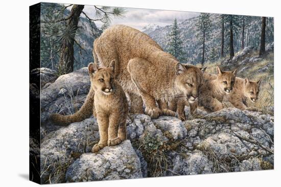 Cat Family-Jeff Tift-Stretched Canvas