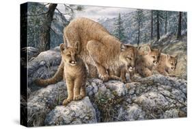 Cat Family-Jeff Tift-Stretched Canvas