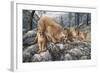 Cat Family-Jeff Tift-Framed Giclee Print