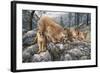 Cat Family-Jeff Tift-Framed Giclee Print