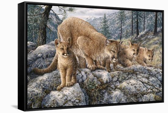 Cat Family-Jeff Tift-Framed Stretched Canvas