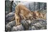 Cat Family-Jeff Tift-Stretched Canvas