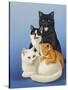 Cat Family-Harro Maass-Stretched Canvas