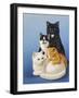 Cat Family-Harro Maass-Framed Giclee Print