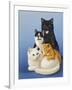 Cat Family-Harro Maass-Framed Giclee Print