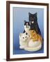 Cat Family-Harro Maass-Framed Giclee Print