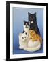 Cat Family-Harro Maass-Framed Giclee Print