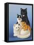 Cat Family-Harro Maass-Framed Stretched Canvas