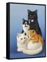 Cat Family-Harro Maass-Framed Stretched Canvas