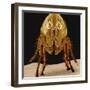 Cat Flea-null-Framed Photographic Print