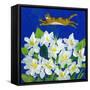 Cat Flying Over Flowers-sylvia pimental-Framed Stretched Canvas