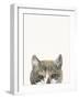 Cat Friend - Alfie-Jean Bernard-Framed Giclee Print
