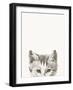 Cat Friend - Lola-Jean Bernard-Framed Giclee Print