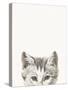 Cat Friend - Lola-Jean Bernard-Stretched Canvas