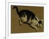 Cat from above-Adriaen van de Velde-Framed Giclee Print