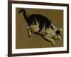 Cat from above-Adriaen van de Velde-Framed Giclee Print