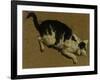 Cat from above-Adriaen van de Velde-Framed Giclee Print