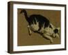 Cat from above-Adriaen van de Velde-Framed Giclee Print