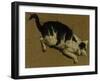 Cat from above-Adriaen van de Velde-Framed Giclee Print