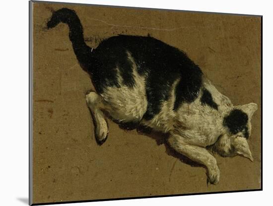 Cat from above-Adriaen van de Velde-Mounted Giclee Print