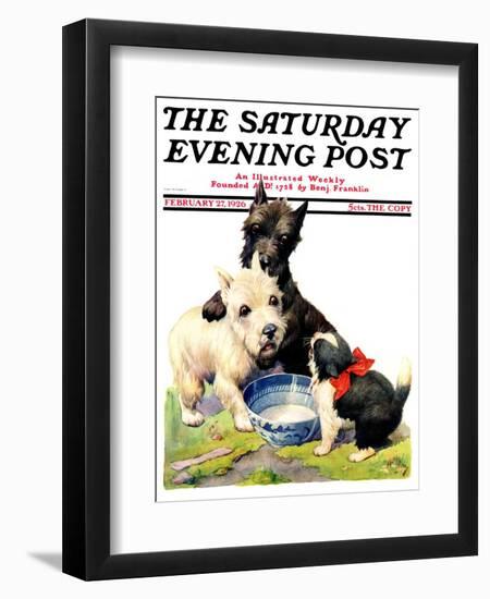 "Cat Guards Bowl of Milk," Saturday Evening Post Cover, February 27, 1926-Robert L. Dickey-Framed Giclee Print