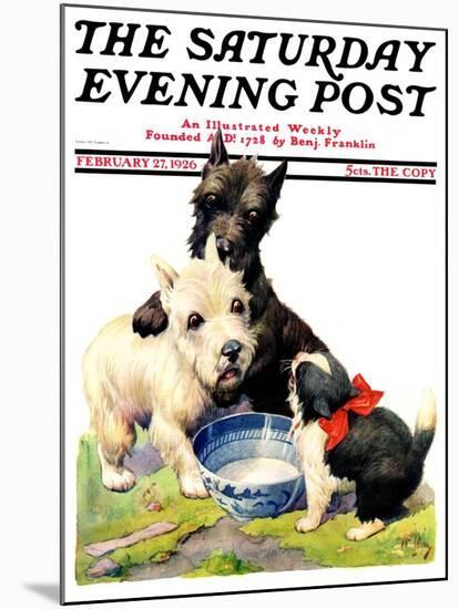 "Cat Guards Bowl of Milk," Saturday Evening Post Cover, February 27, 1926-Robert L. Dickey-Mounted Giclee Print