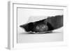 Cat in a Bag-Jeremy Holthuysen-Framed Photographic Print