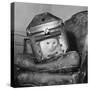 Cat in a Carrier During an Air Raid-John Phillips-Stretched Canvas