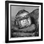 Cat in a Carrier During an Air Raid-John Phillips-Framed Photographic Print