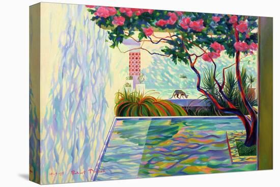 Cat in a Mexican Garden-Robert Tyndall-Stretched Canvas