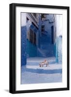 Cat in Alleyway in Morocco-Steven Boone-Framed Photographic Print