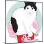 Cat in Box-mkoudis-Mounted Art Print
