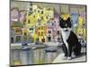 Cat in Corricella, Italy-Isy Ochoa-Mounted Giclee Print