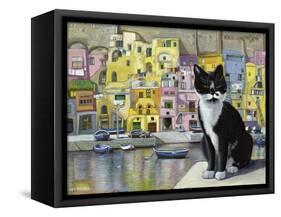 Cat in Corricella, Italy-Isy Ochoa-Framed Stretched Canvas