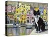 Cat in Corricella, Italy-Isy Ochoa-Stretched Canvas