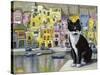 Cat in Corricella, Italy-Isy Ochoa-Stretched Canvas