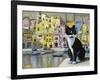 Cat in Corricella, Italy-Isy Ochoa-Framed Giclee Print