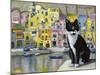 Cat in Corricella, Italy-Isy Ochoa-Mounted Giclee Print