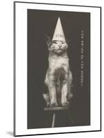 Cat in Dunce Cap-null-Mounted Art Print