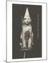 Cat in Dunce Cap-null-Mounted Art Print