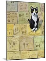 Cat in Hollywood (Chat a Hollywood)-Isy Ochoa-Mounted Giclee Print