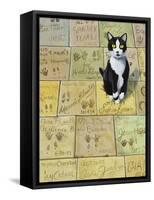 Cat in Hollywood (Chat a Hollywood)-Isy Ochoa-Framed Stretched Canvas