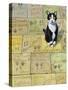 Cat in Hollywood (Chat a Hollywood)-Isy Ochoa-Stretched Canvas
