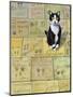 Cat in Hollywood (Chat a Hollywood)-Isy Ochoa-Mounted Giclee Print