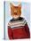 Cat in Ski Sweater-Fab Funky-Stretched Canvas