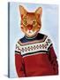 Cat in Ski Sweater-Fab Funky-Stretched Canvas